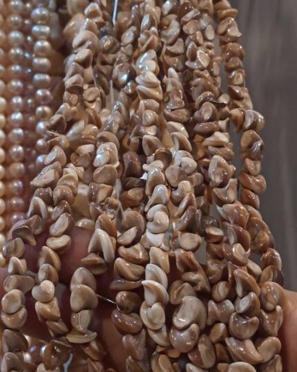 صدف قهوه ای