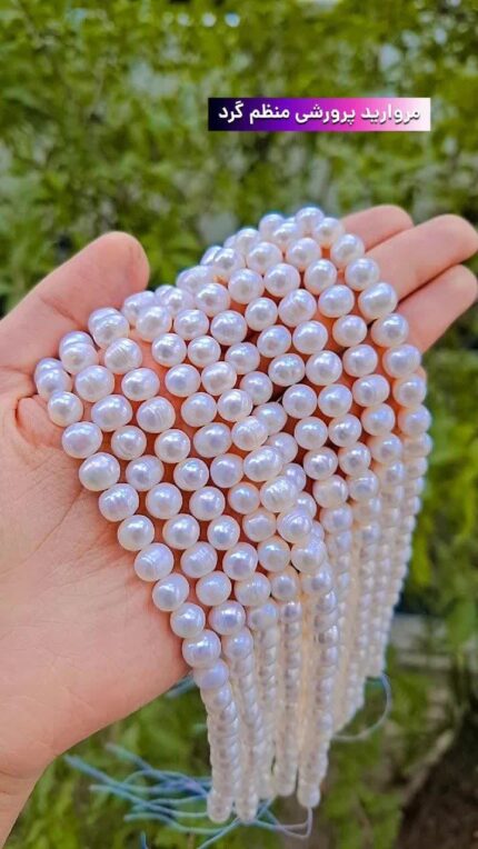 مروارید منظم و گرد A+سایز 8 اقای خرازی قم