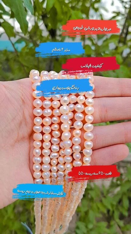 پرورشی نامنظم پوست پیازی +A سایز4 اقای خرازی قم