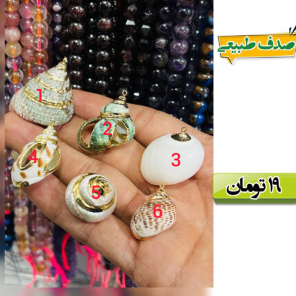 صدف طبیعی