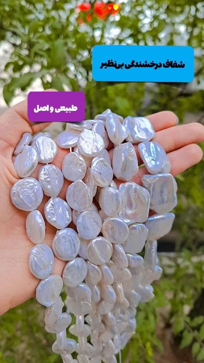 قیمت باروک اصل فروش بصورت دانه ای و ریسه ای اقای خرازی قم