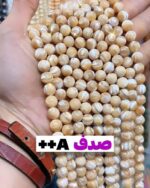 صدف++a
