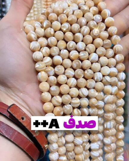صدف++a