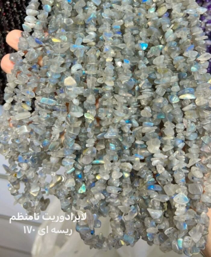 دلربا ریسه ای