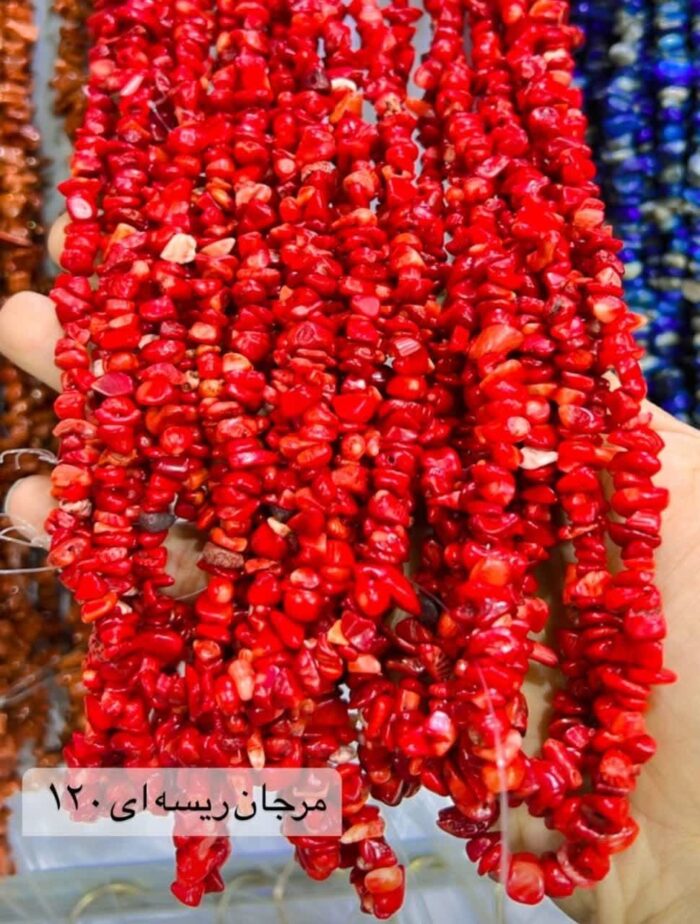 مرجان ریسه ای