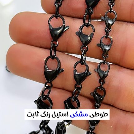 قفل طوطی استیل (مشکی )