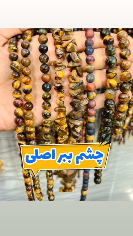 چشم ببر