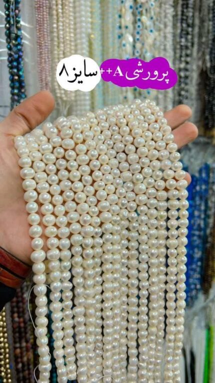 پرورشی درجه یک سایز 8