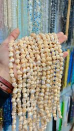 صدف اصل مدل فیل گوشی