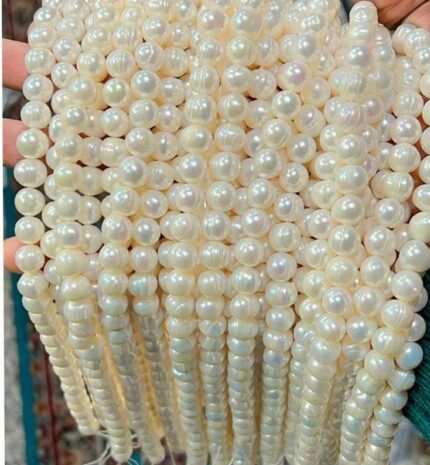 خرید ریسه پرورشی سایز 10 اقای خرازی قم