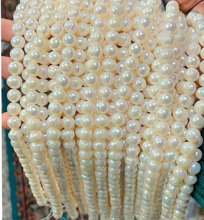 خرید ریسه پرورشی سایز 10 اقای خرازی قم