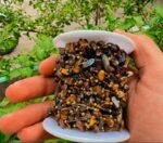 زنجیر استیل چشم ببر نامنظم متری (بدلیجات قم )