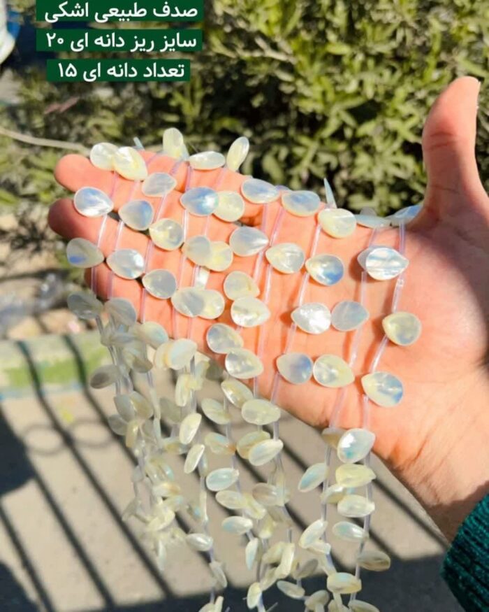 صدف طبیعی اشکی ریز قم