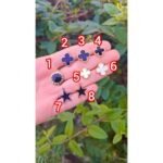 پلاک بولگاری قم