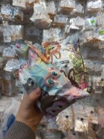 لبوبو شانسی( بدون جعبه )قم