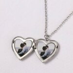 پلاک و گردنبند لاکت استیل اقای خرازی قم